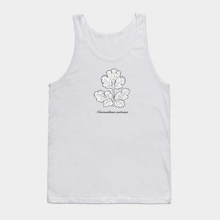 Coriandrum sativum - Coriander or cilantro. Tank Top